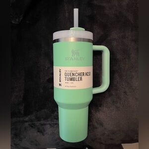 Stanley Quencher H2.0 Tumbler - pistachio green